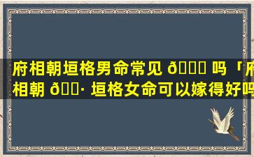 府相朝垣格男命常见 🐝 吗「府相朝 🕷 垣格女命可以嫁得好吗」